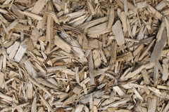 biomass boilers Degibna